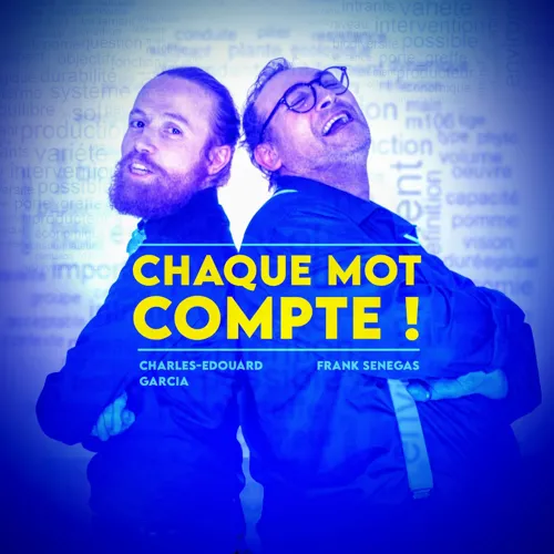 Affiche de Chaque mot compte ! Le duo 100% impro