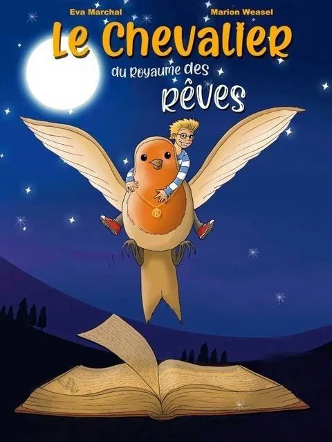 Affiche de Le chevalier du Royaume des Rêves