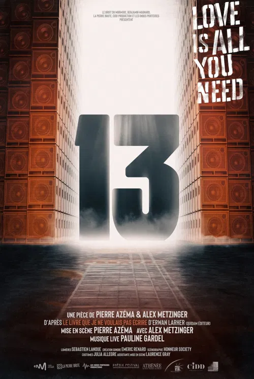 Affiche de 13, love is all you need