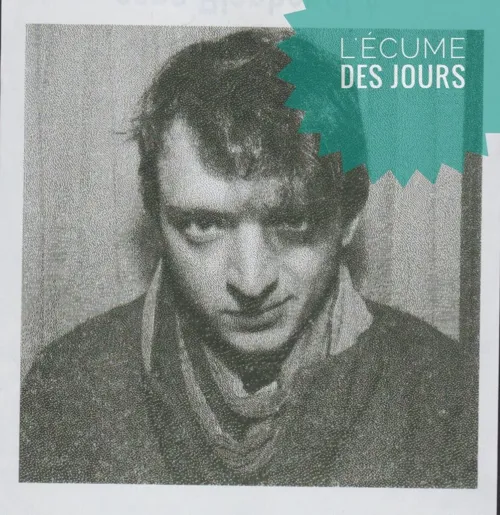 Photo 3 de L'écume des jours