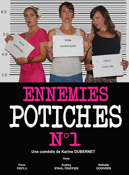 Affiche de Ennemies Potiches numéro 1