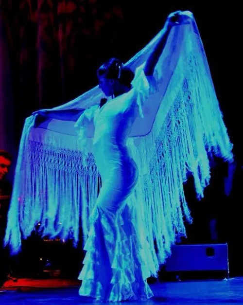 AL ANDALUS FLAMENCO NUEVO