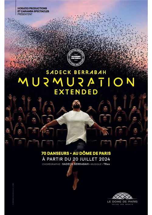 Affiche de Murmuration extended