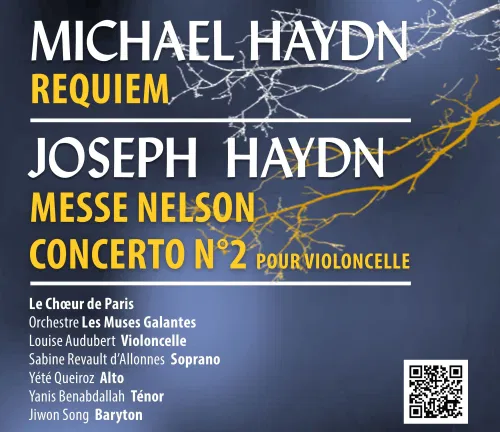 Affiche de Concerts Haydn