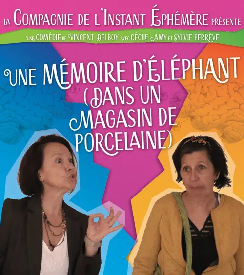 Affiche de Une mémoire d'éléphant (dans un magasin de porcelaine)