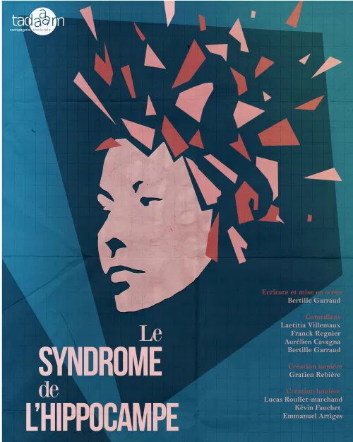 Affiche de Le syndrome de l'hippocampe