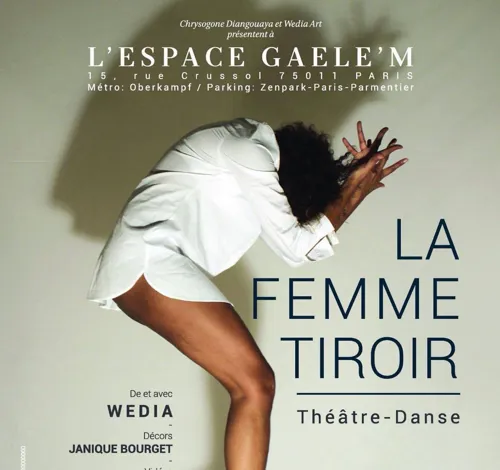 Affiche de La femme tiroir