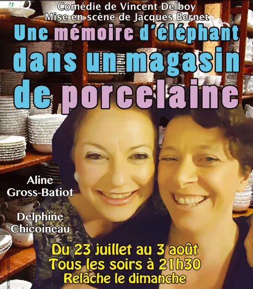Affiche de Une mémoire d'éléphant dans un magasin de porcelaine