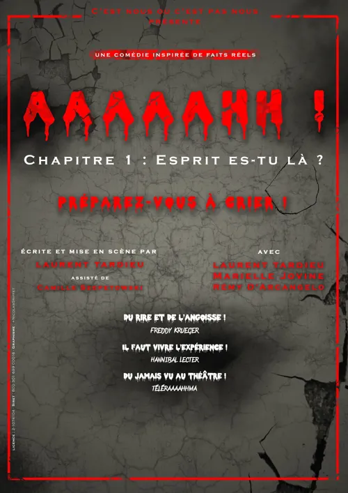 Affiche de Aaaaahh !