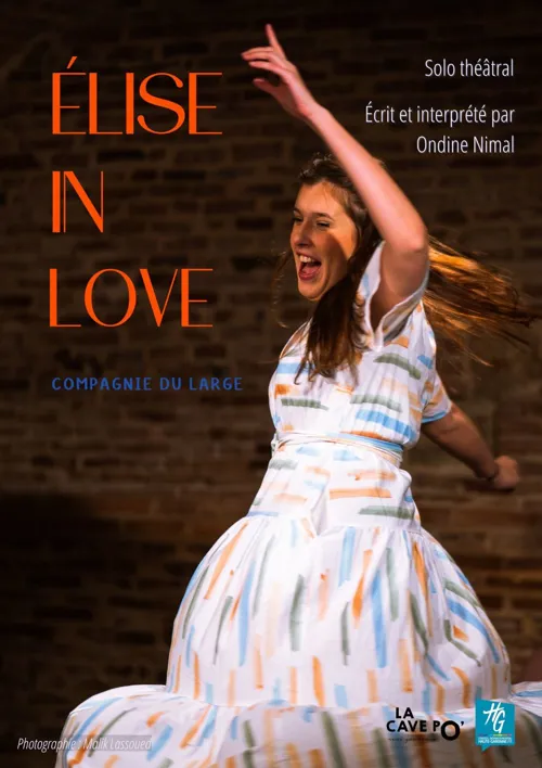 Affiche de Elise in love