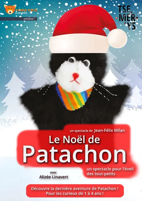 Affiche de Le Noël de Patachon