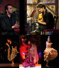 Flamenco à Paris - 