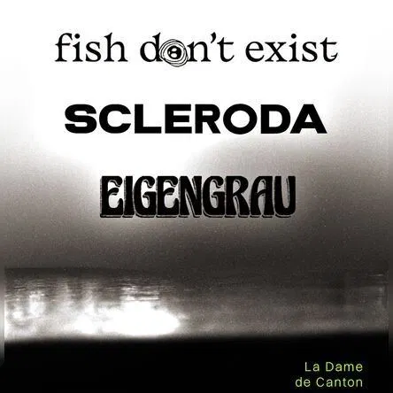 Affiche de Fish don't exist x Scleroda x Eigengrau