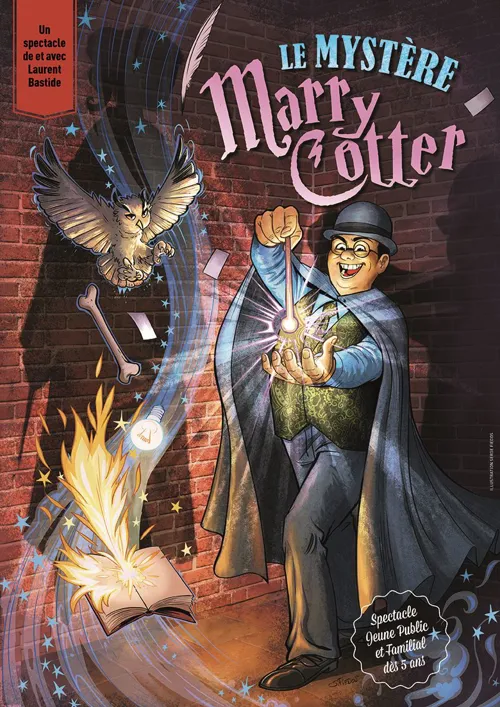 Affiche de Le mystère Marry Cotter
