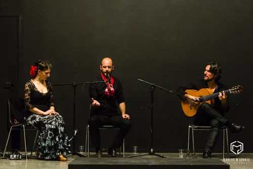 Photo 2 de Concert Flamenco : Niño de Gambetta