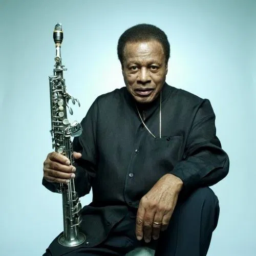Affiche de Hommage à Wayne Shorter avec Michael Cheret + Vandojam