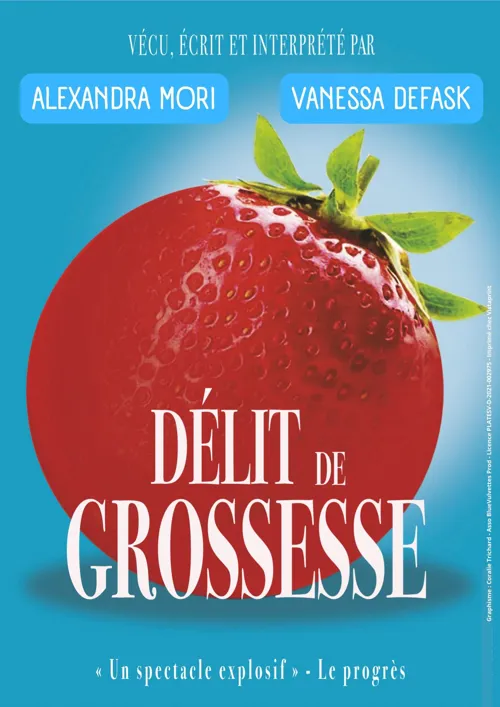 Affiche de Délit de grossesse