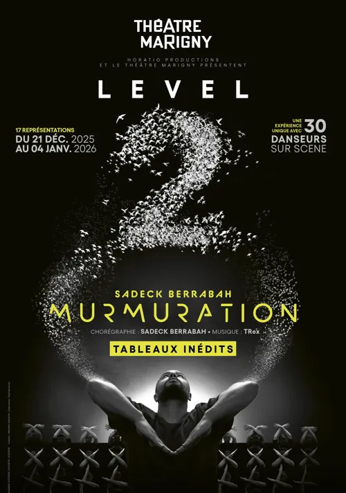Affiche de Murmuration Level 2