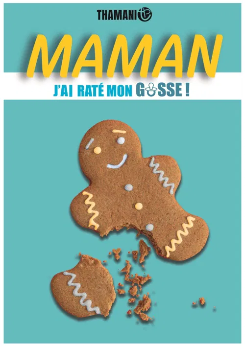 Affiche de Maman j'ai raté mon gosse !