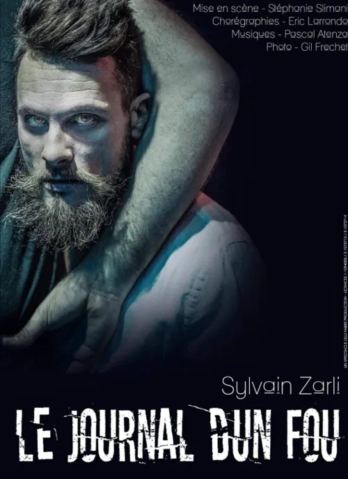 Affiche de Le journal d'un fou