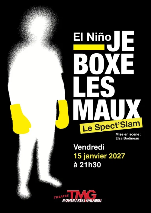 Affiche de Je boxe les maux