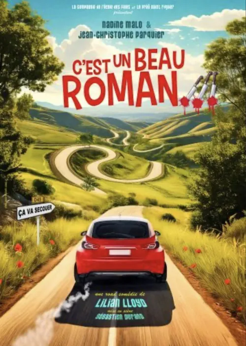 Affiche de C'est un beau roman