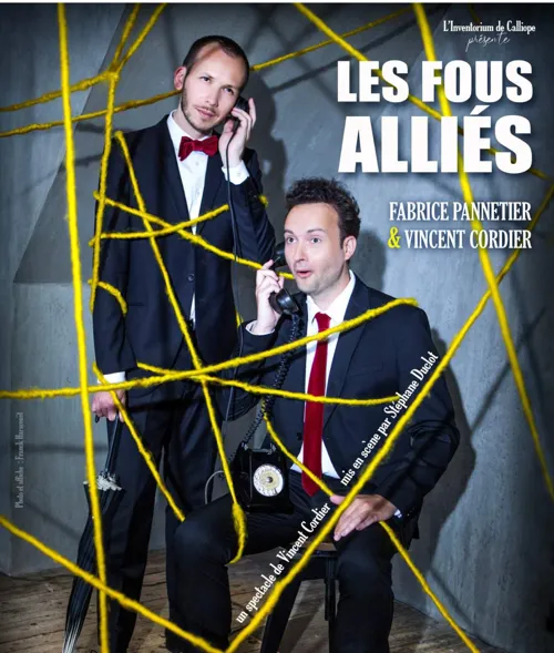 Affiche de Les fous alliés