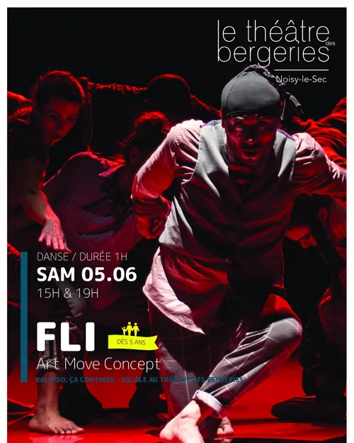 Affiche de Fli