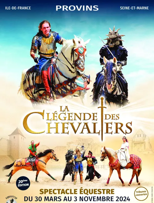 Affiche de La Légende des Chevaliers