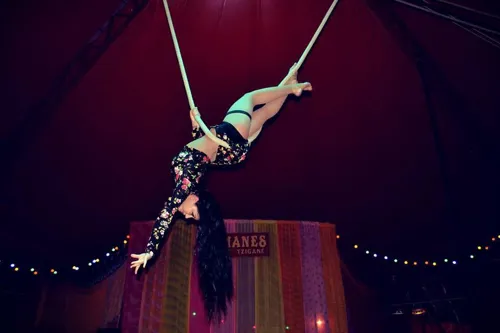Photo 4 de Romanès Cirque Tzigane dans La Trapéziste des Anges !