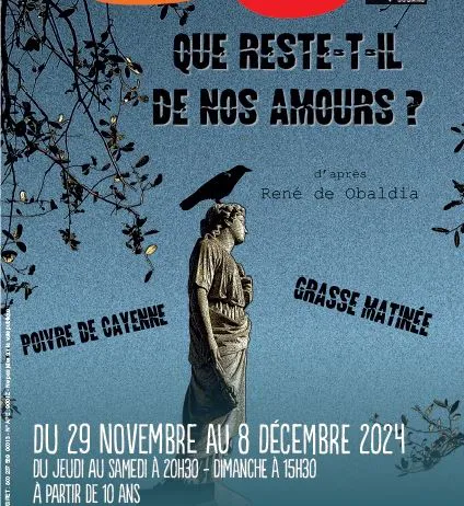Affiche de Que reste-t-il de nos amours ?