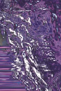 Nuitsances sonores #1 - 