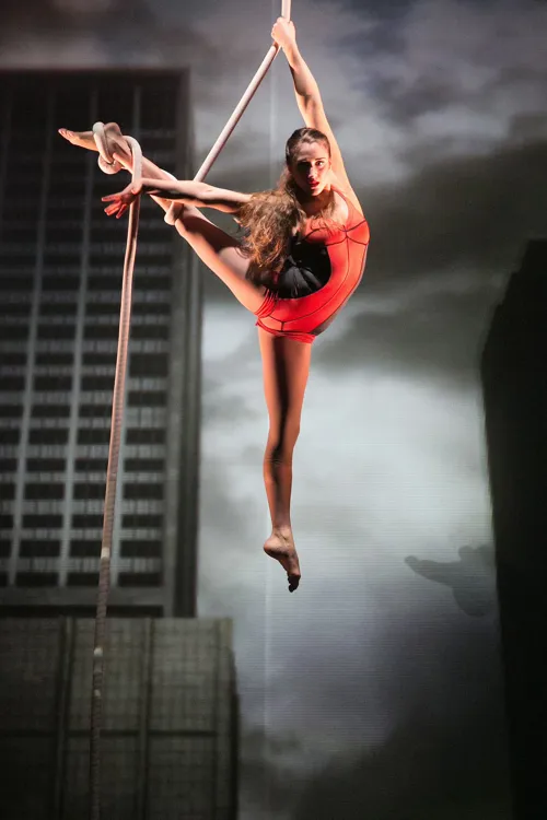 Photo 3 de Le Cirque Eloize dans Cirkopolis