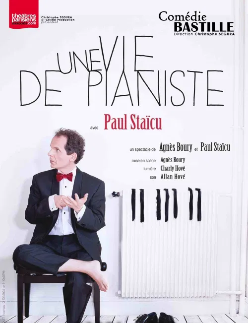 Affiche de Une vie de pianiste