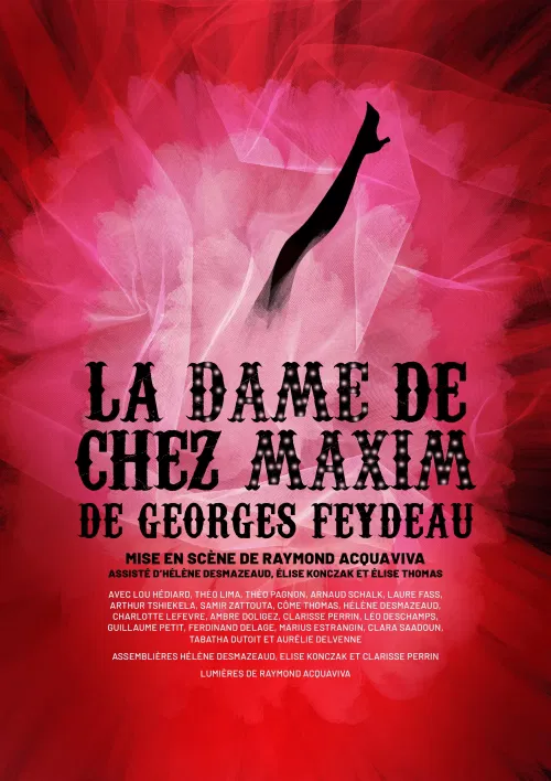 Affiche de La Dame de chez Maxim