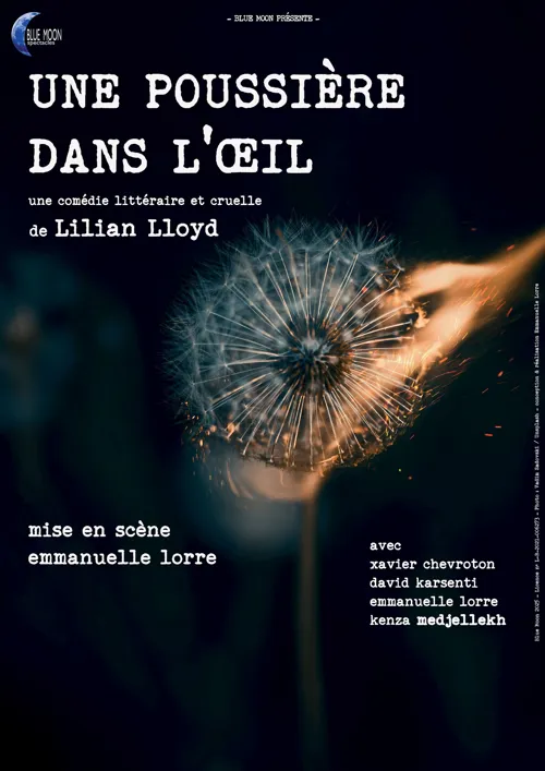 Affiche de Une poussière dans l'oeil
