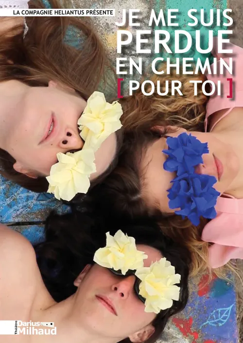 Affiche de Je me suis perdue en chemin [ pour toi ]