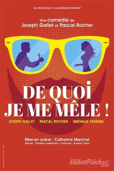 Affiche de De quoi je me mêle !