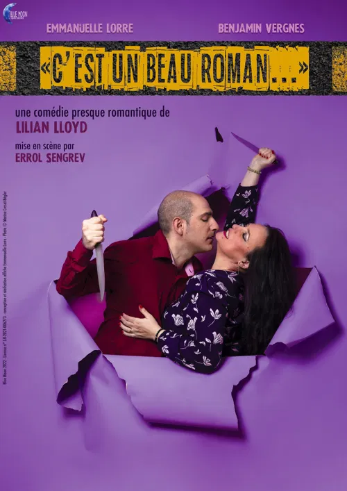 Affiche de C'est un beau roman...