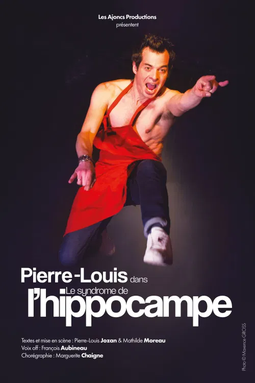 Affiche de Pierre Louis dans Le syndrome de l'hippocampe