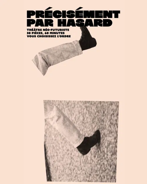 Affiche de Précisement par hasard
