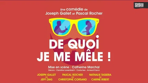 Affiche de De quoi je me mêle !