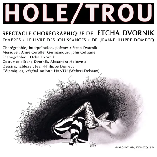 Affiche de Hole / Trou