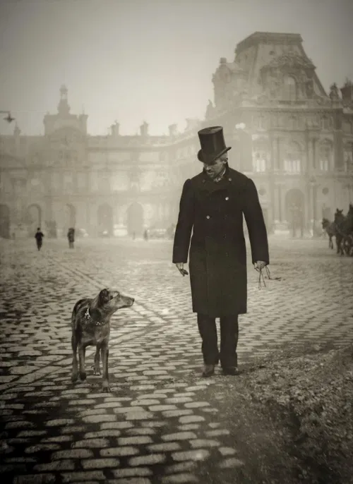 Affiche de Javert