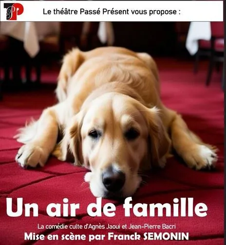 Affiche de Un air de famille