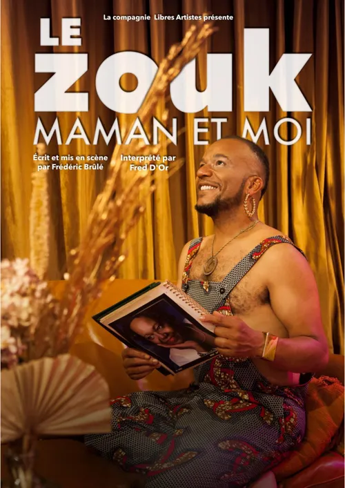 Affiche de Fred D'Or dans Le zouk, maman et moi