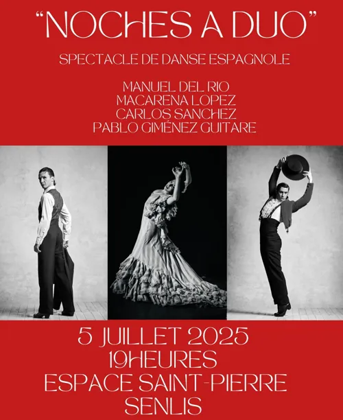 Affiche de Noches à duo
