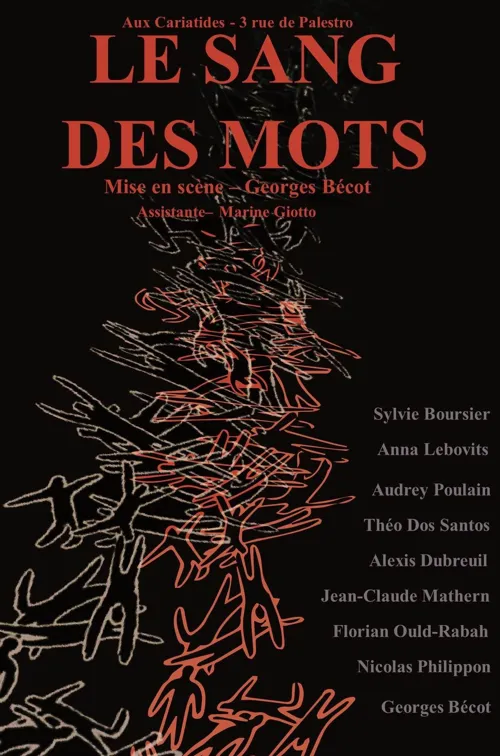 Affiche de Le sang des mots