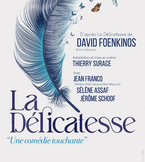 Affiche de La délicatesse