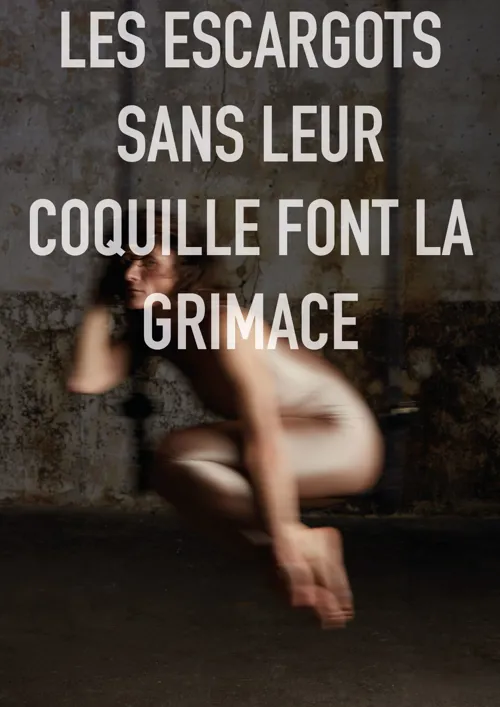 Affiche de Les escargots sans leur coquille font la grimace